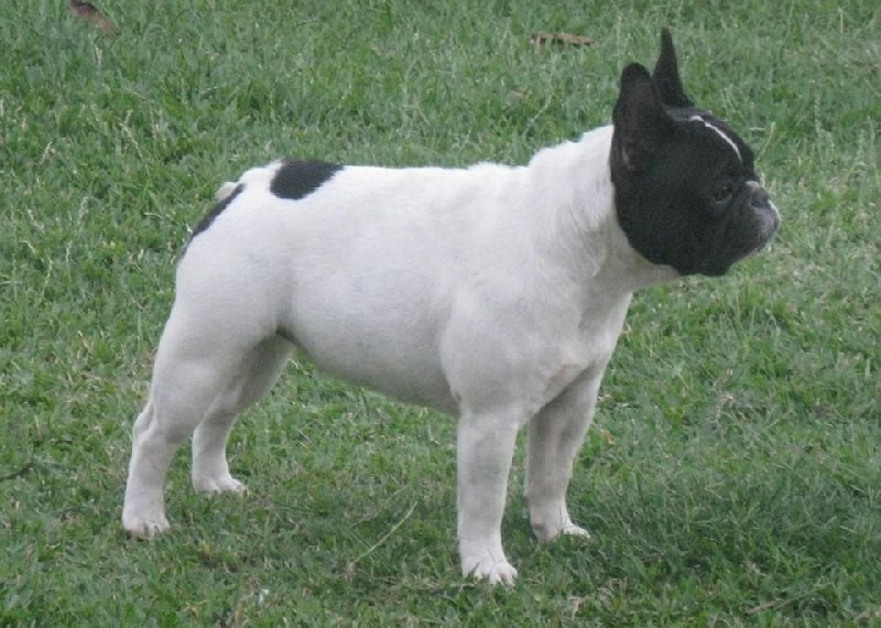 CH. Jolly-grace de la Vallée de Takamaka